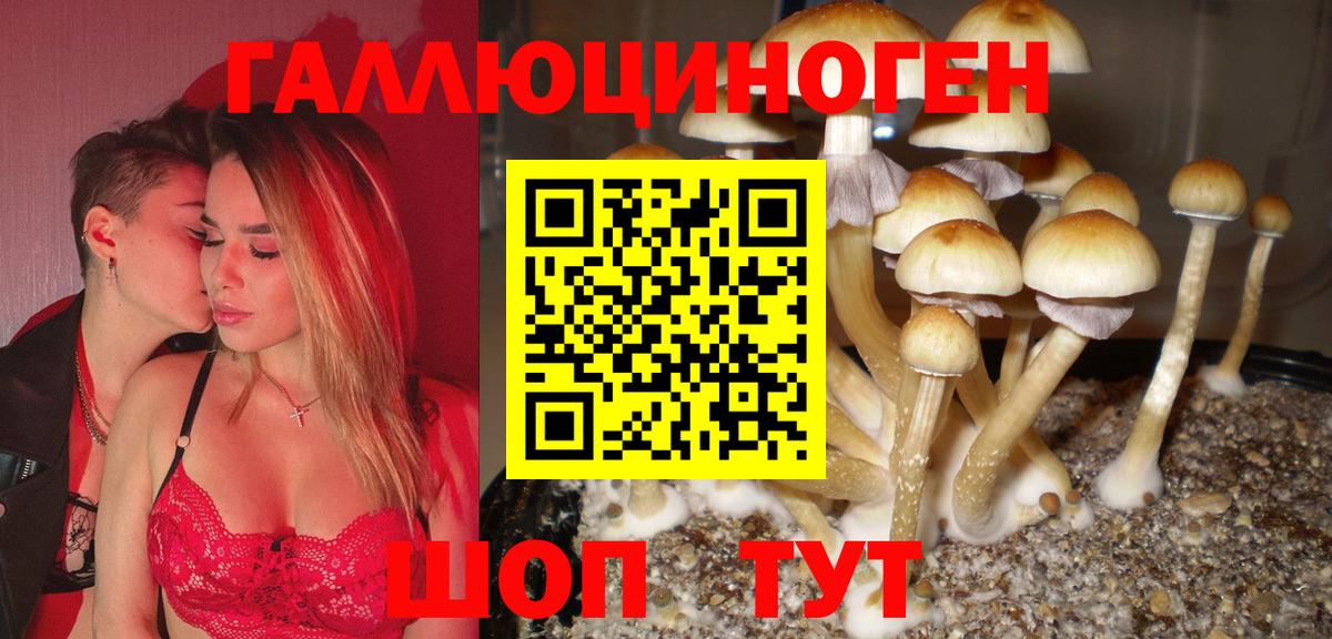 Баксан  Псилоцибиновые грибы мухоморы  Вход с VPN 